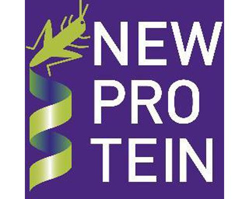 New Protein
